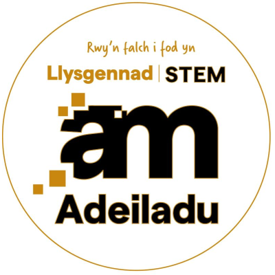 Ambassador Replacement Pin Badge