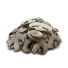 Mushroom - Button Sliced 05mm