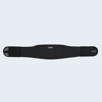 Torso Wearable
